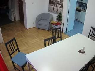 voyeurcam-julmodels-dining