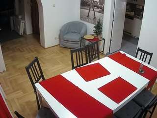 voyeurcam-julmodels-dining
