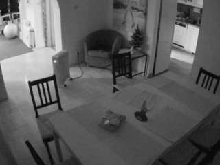 voyeurcam-julmodels-dining