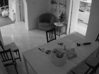 voyeurcam-julmodels-dining