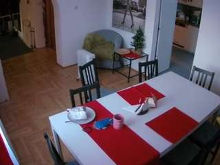 voyeurcam-julmodels-dining