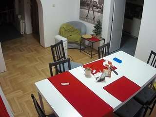 voyeurcam-julmodels-dining