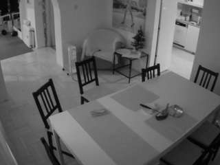 voyeurcam-julmodels-dining
