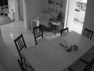 voyeurcam-julmodels-dining