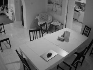voyeurcam-julmodels-dining webcam