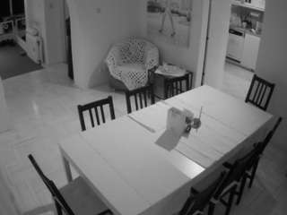 voyeurcam-julmodels-dining