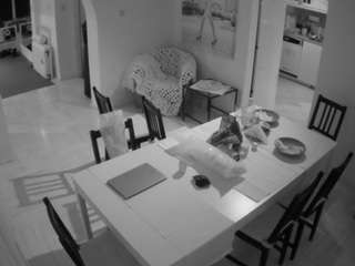 voyeurcam-julmodels-dining's CamSoda show and profile