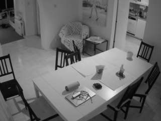 voyeurcam-julmodels-dining webcam