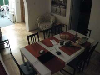voyeurcam-julmodels-dining