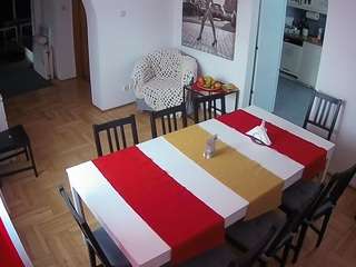 voyeurcam-julmodels-dining