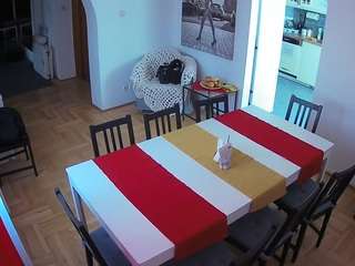 voyeurcam-julmodels-dining live cam profile