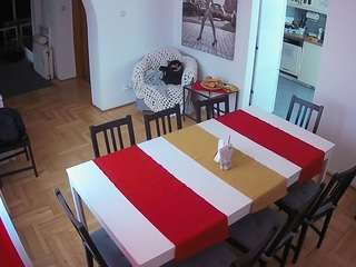 voyeurcam-julmodels-dining live cam profile
