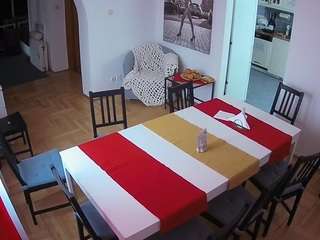 voyeurcam-julmodels-dining live cam profile