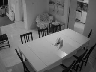 voyeurcam-julmodels-dining live cam profile