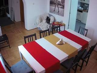 voyeurcam-julmodels-dining
