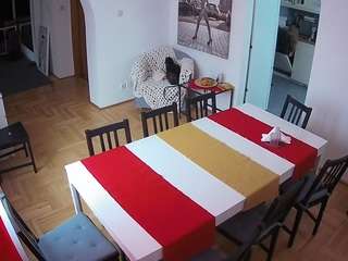 voyeurcam-julmodels-dining live cam profile