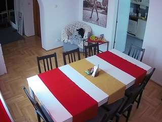voyeurcam-julmodels-dining webcam