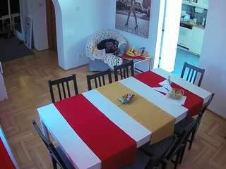 voyeurcam-julmodels-dining's CamSoda show and profile