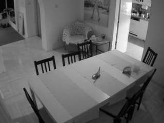 voyeurcam-julmodels-dining