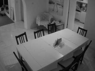 voyeurcam-julmodels-dining webcam