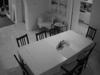 voyeurcam-julmodels-dining