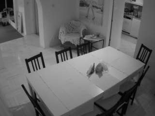 voyeurcam-julmodels-dining