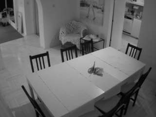 voyeurcam-julmodels-dining - Live HD Webcam