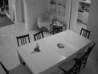 voyeurcam-julmodels-dining webcam