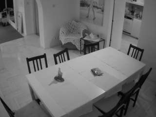 voyeurcam-julmodels-dining webcam