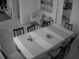 voyeurcam-julmodels-dining webcam