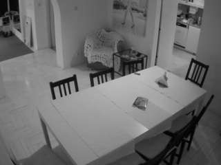 voyeurcam-julmodels-dining webcam