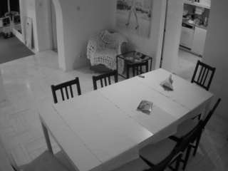 voyeurcam-julmodels-dining