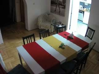 voyeurcam-julmodels-dining webcam
