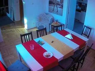 voyeurcam-julmodels-dining