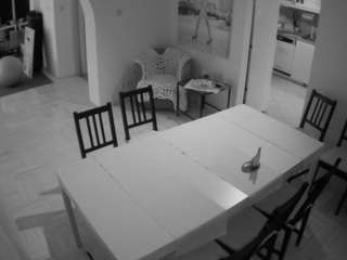 voyeurcam-julmodels-dining