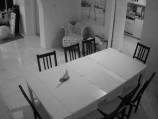 voyeurcam-julmodels-dining