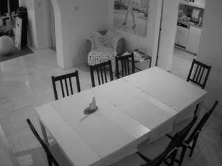 voyeurcam-julmodels-dining