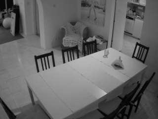 voyeurcam-julmodels-dining