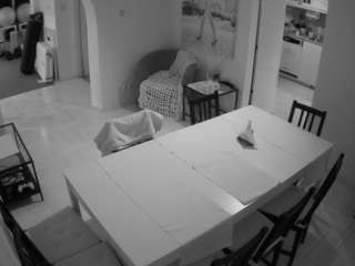 voyeurcam-julmodels-dining