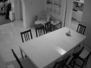 voyeurcam-julmodels-dining