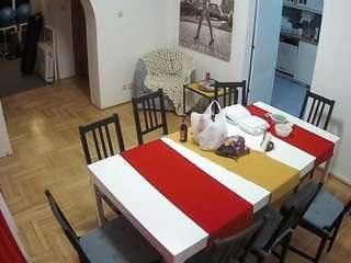 voyeurcam-julmodels-dining