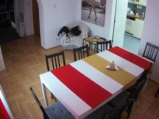 voyeurcam-julmodels-dining webcam