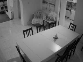 voyeurcam-julmodels-dining