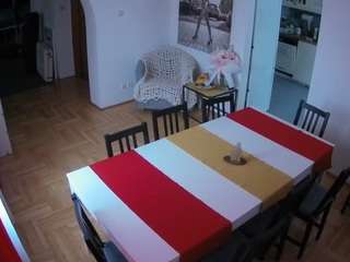 voyeurcam-julmodels-dining