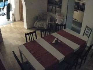 voyeurcam-julmodels-dining