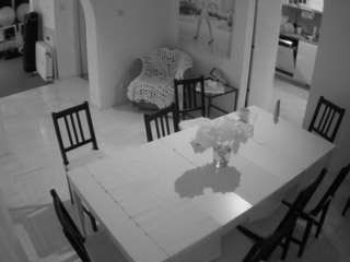 voyeurcam-julmodels-dining