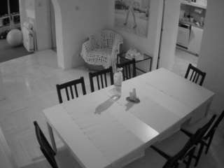 voyeurcam-julmodels-dining
