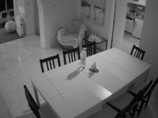 voyeurcam-julmodels-dining