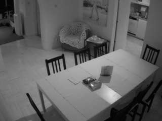 voyeurcam-julmodels-dining
