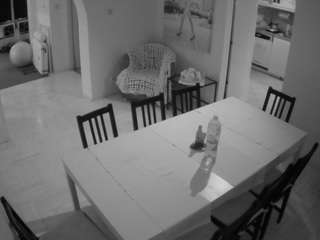 voyeurcam-julmodels-dining
